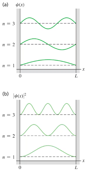 Graphs showing wave functions and their probabilities for a particle in a box, labeled by quantum number n.