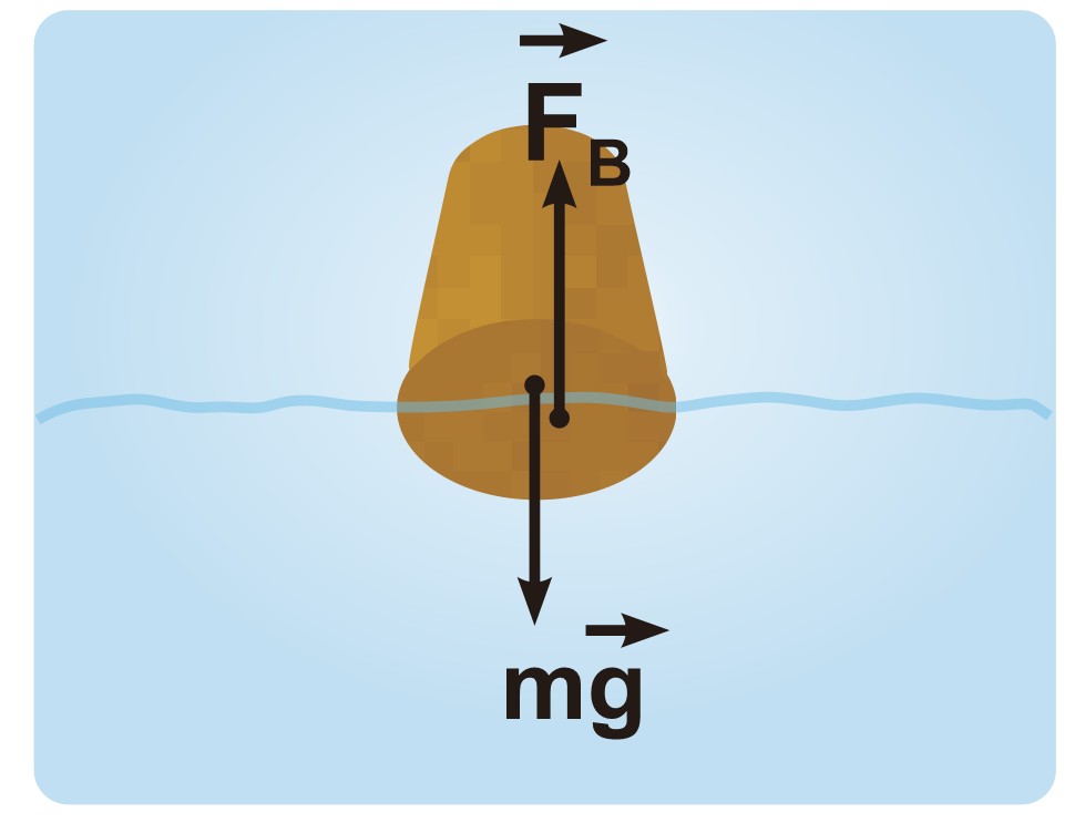 Diagram showing a floating log with buoyant force and weight vectors for buoyancy topic.