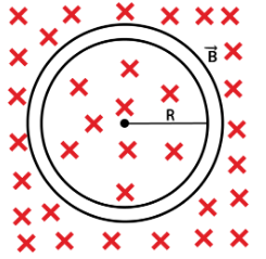 Diagram of a circular loop with radius 20 cm in a magnetic field directed into the page, showing radius R.