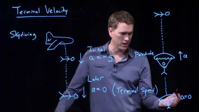 Anderson Video - Terminal Velocity