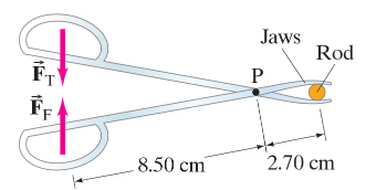 Illustration of forceps gripping a plastic rod, showing forces applied and measurements labeled.