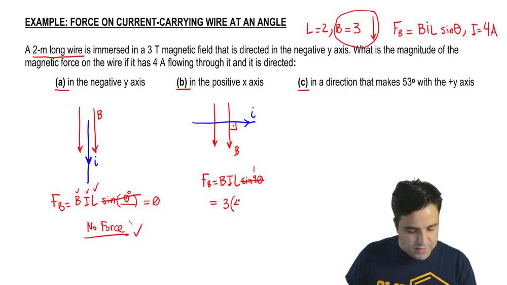 Find Force on Current-Carrying Wire at an Angle