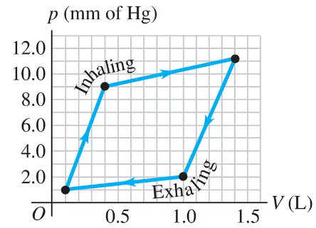 Graph of lung pV diagram with straight lines showing inhaling and exhaling phases, pressure in mm Hg, volume in liters.