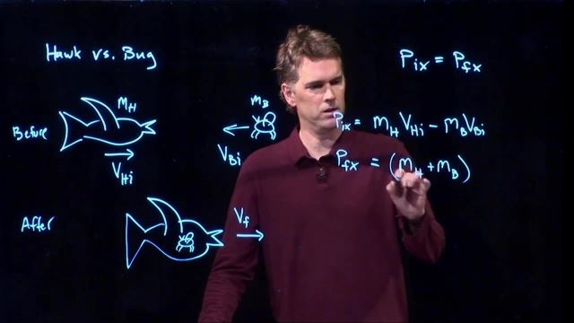 Anderson Video - Momentum: Bird vs Bug