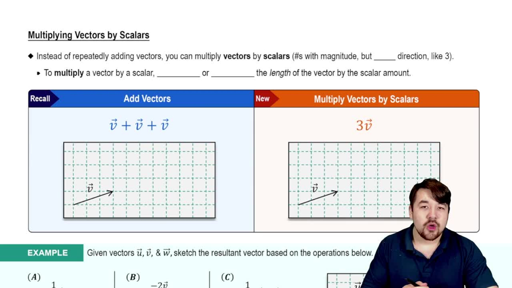 Multiplying Vectors By Scalars