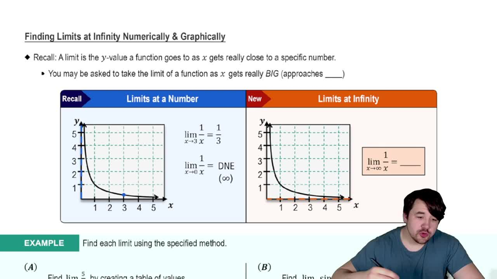 Finding Limits at Infinity Numerically and Graphically