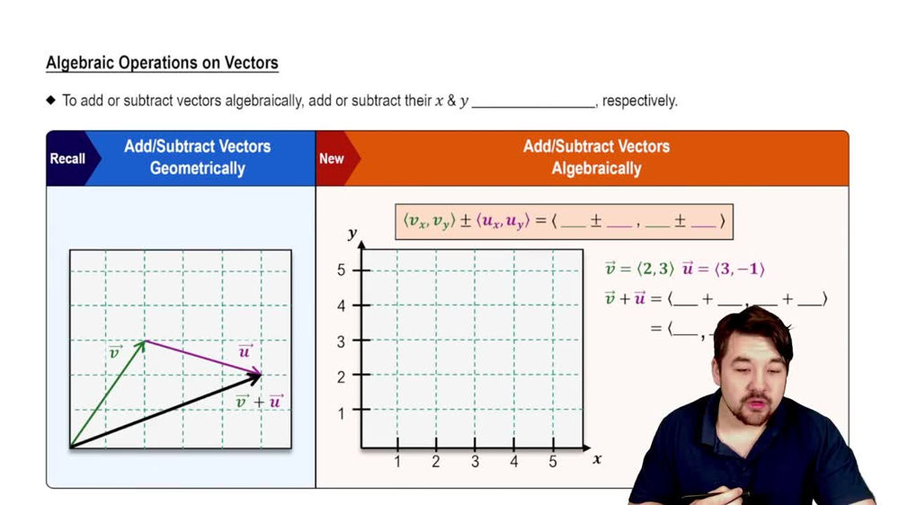 Algebraic Operations on Vectors