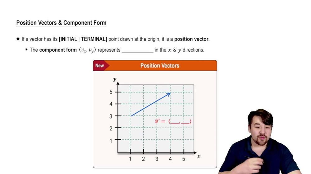 Position Vectors & Component Form