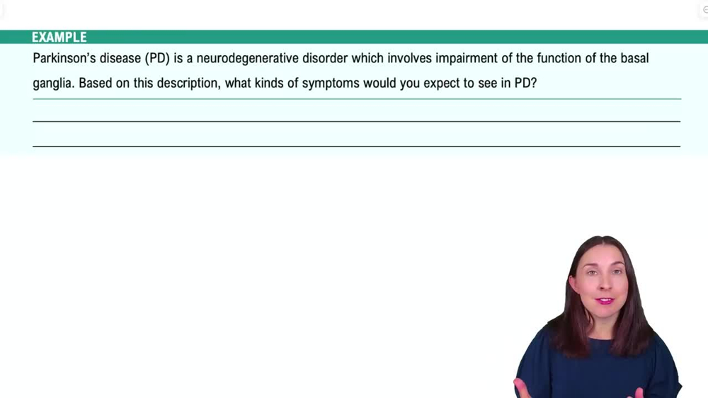 The Subcortical Forebrain Example 1