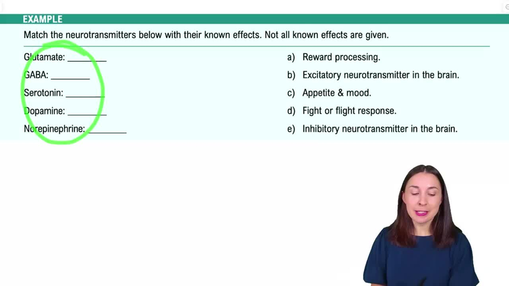 Communication in the Nervous System Example 4