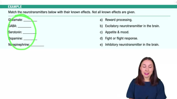Communication in the Nervous System Example 4