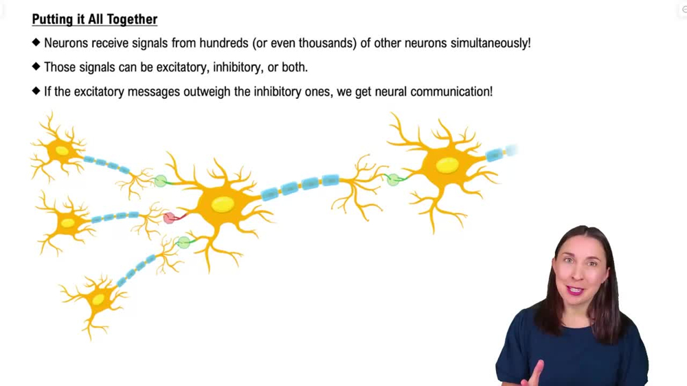 Putting it All Together