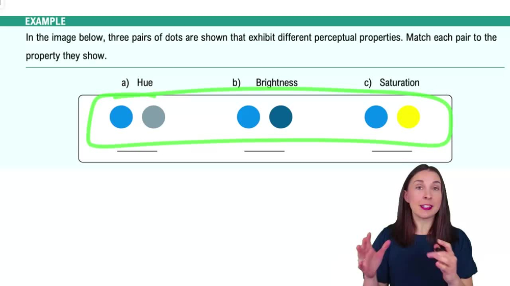 Visual Stimuli Example 1