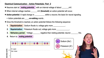 Electrical Communication – Action Potentials: Part 2