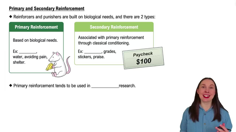 Primary and Secondary Reinforcement