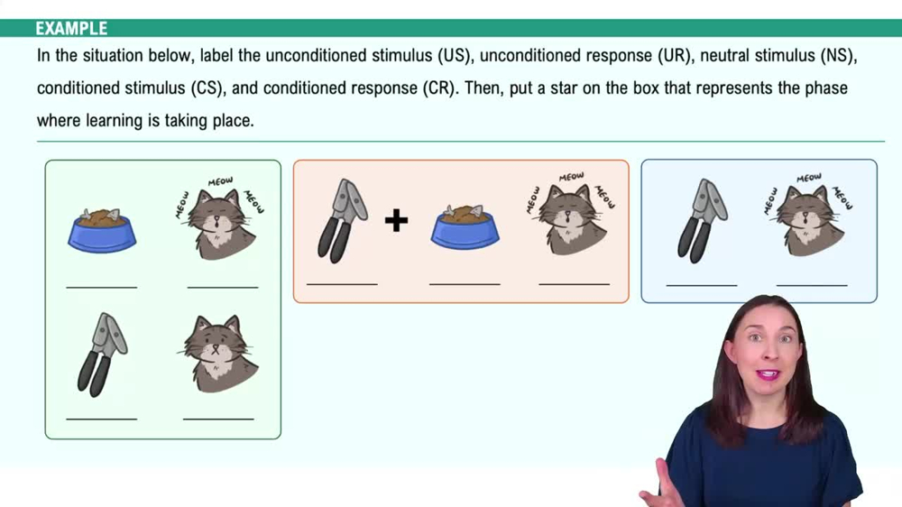 Classical Conditioning Example 2