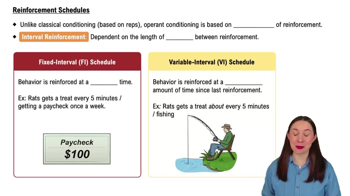 Reinforcement Schedules