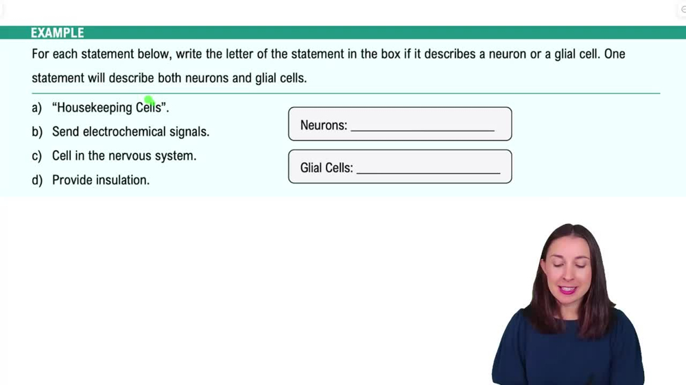 Cells of the Nervous System Example 1