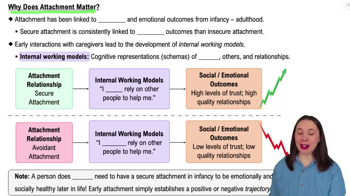 Why Does Attachment Matter?