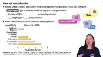 Stress and Immune Function
