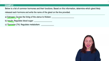 The Endocrine System Example 1