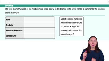 The Hindbrain Example 1