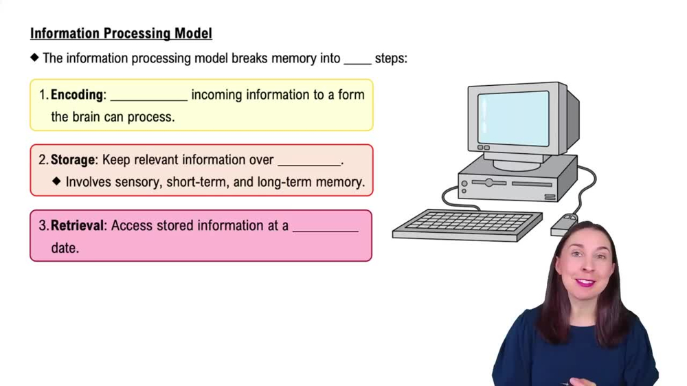 Information Processing Model