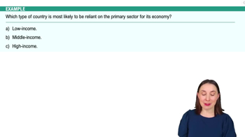 Sectors of the Economy Example 2