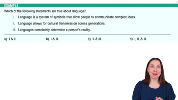 Elements of Culture Example 3