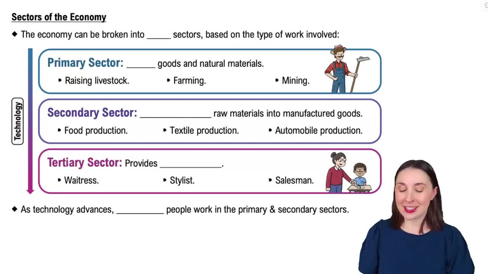 Sectors of the Economy