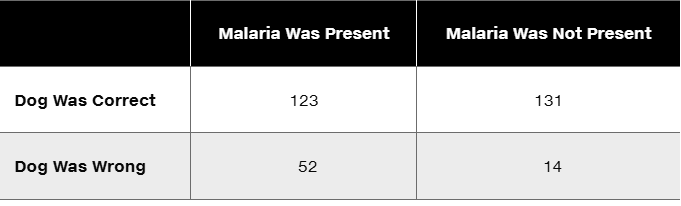 Table showing results of a study on dogs detecting malaria, with counts of correct and incorrect detections.