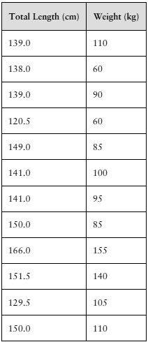 Table showing lengths (cm) and weights (kg) of 12 American black bears for correlation analysis.
