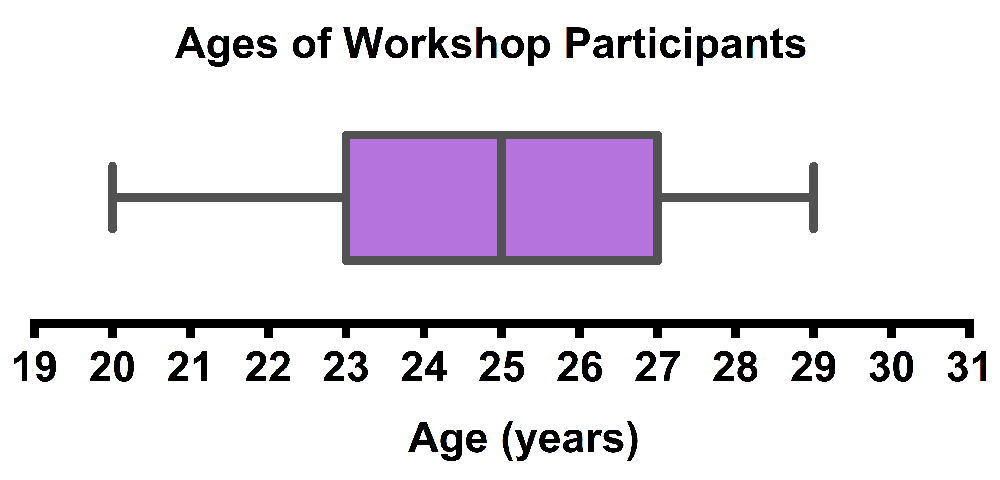 Box-and-whisker plot showing ages of workshop participants, ranging from 19 to 31 years, with a focus on age distribution.