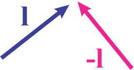 Two arrows representing vector l in blue and its negative in pink, pointing in opposite directions.
