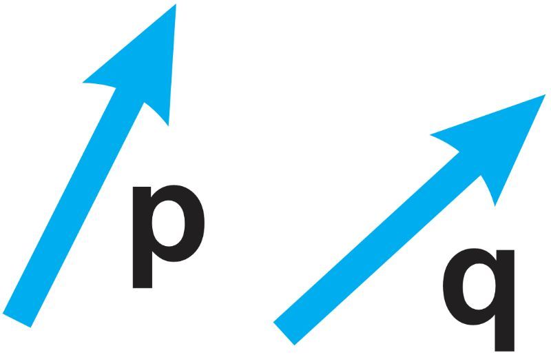 Two geometric vectors labeled p and q, both pointing upwards.