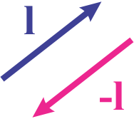 Two arrows representing vectors: one blue arrow labeled "l" pointing up-right, and one pink arrow labeled "-l" pointing down-left.