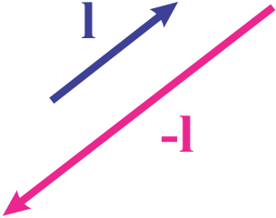 Two arrows representing vectors: one blue arrow labeled "l" pointing up-right, and one pink arrow labeled "-l" pointing down-left.