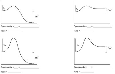 Free energy diagrams with spontaneity and rate labels