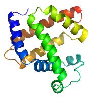 Small molecules: water, oxygen, carbon dioxide