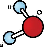 Atoms: oxygen, carbon, hydrogen, nitrogen, phosphorus