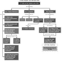 Flowchart of cell biology chapter structure