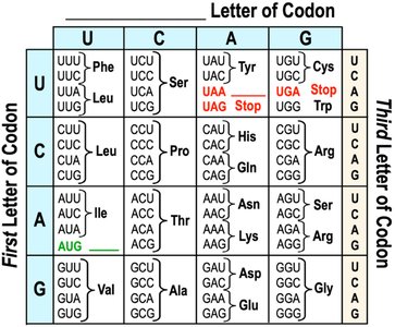 Genetic code table