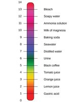 pH scale with common substances