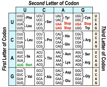 Genetic code table