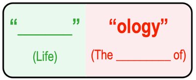 Breakdown of the word 'biology' into its Greek roots: 'bio' (life) and 'ology' (the study of)