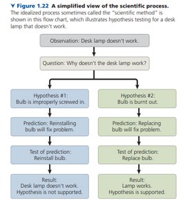 Types of variables in experiments