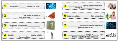 Eight characteristics of life