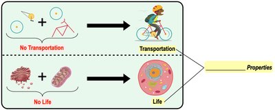 Emergent properties illustrated