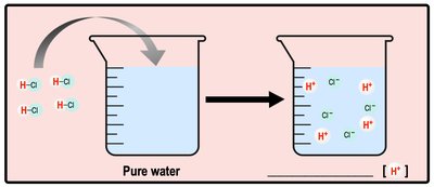 Acid dissociation in water