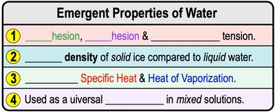 Emergent Properties of Water summary